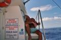LE REPOS DU "GRAND" MARLIN 2005