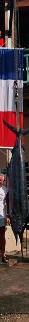 COUPE DE FRANCE MARLIN 2005
