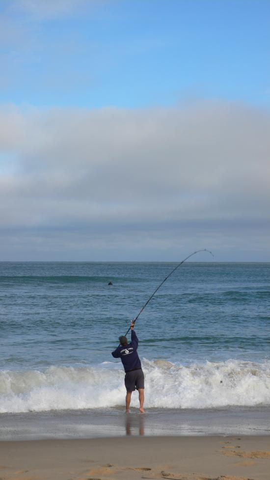 surf en atlantique