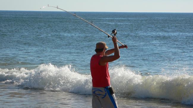 surfcasting l' été